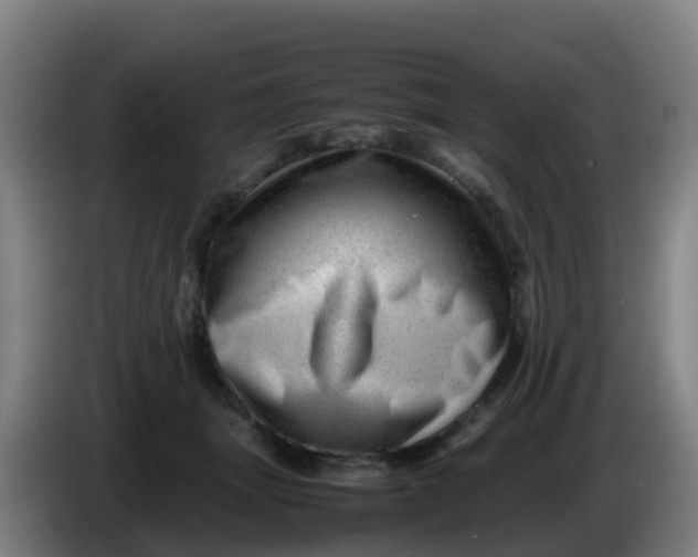 X0000086290463200704201926