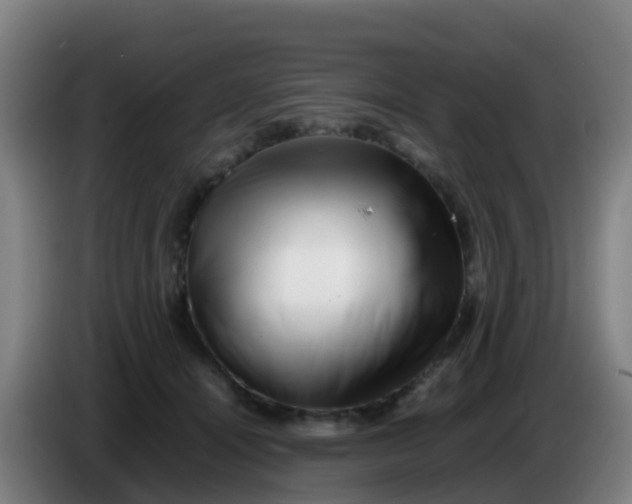 X0000086290464200704201926