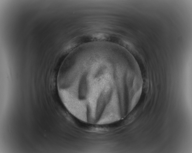 X0000086290466200704201926