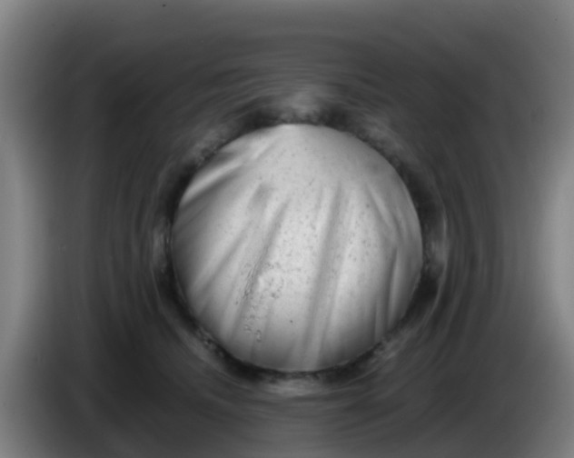 X0000086290468200704201926