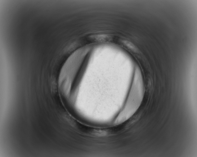 X0000086290469200704201926