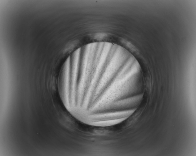 X0000086290470200704201926