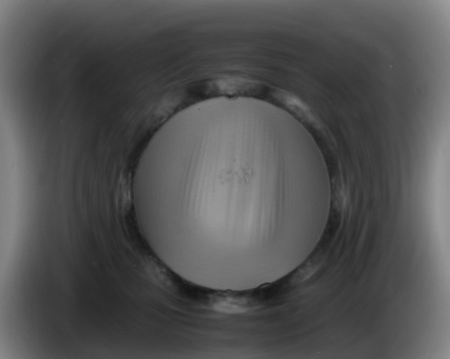 X0000086290471200704201926