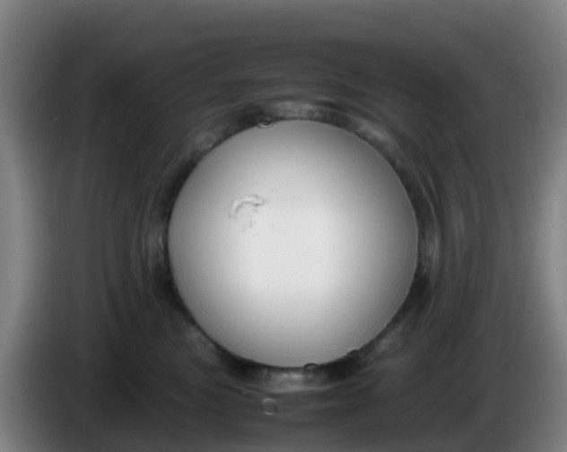 X0000086290473200704201926