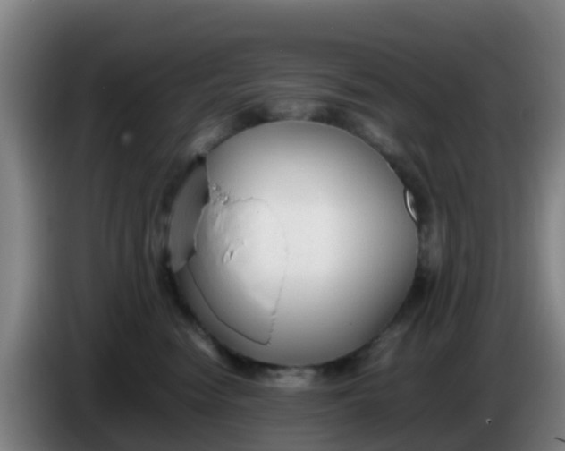 X0000086290474200704201926