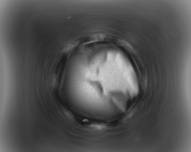 X0000086290477200704201926