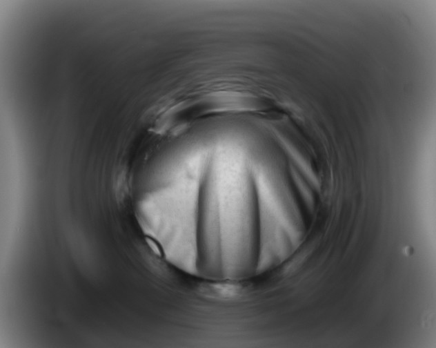 X0000086290478200704201926