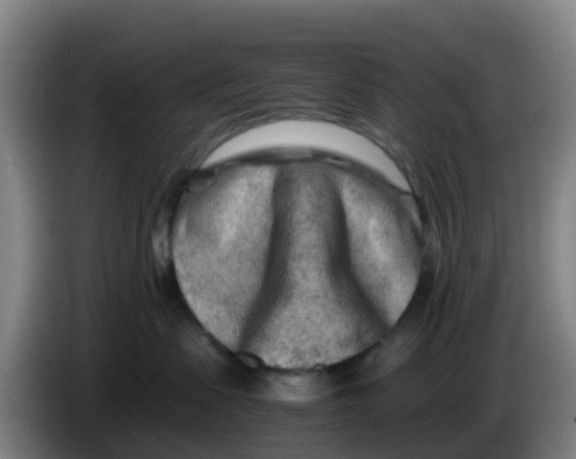 X0000086290479200704201926