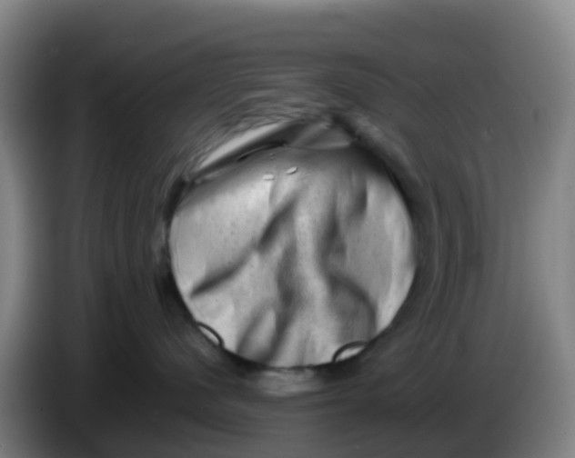 X0000086290480200704201926