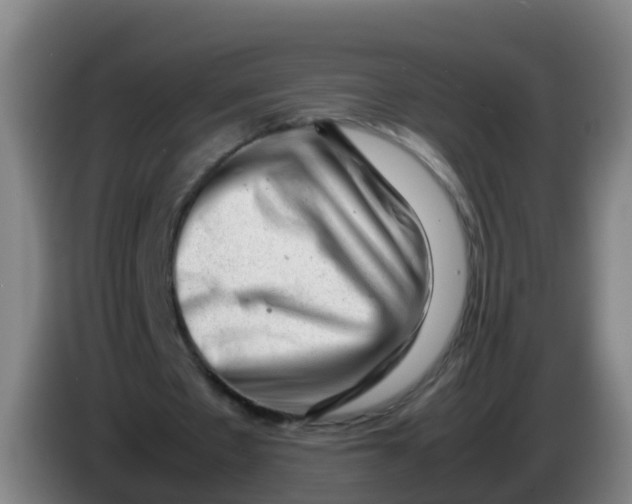 X0000086290481200704201926