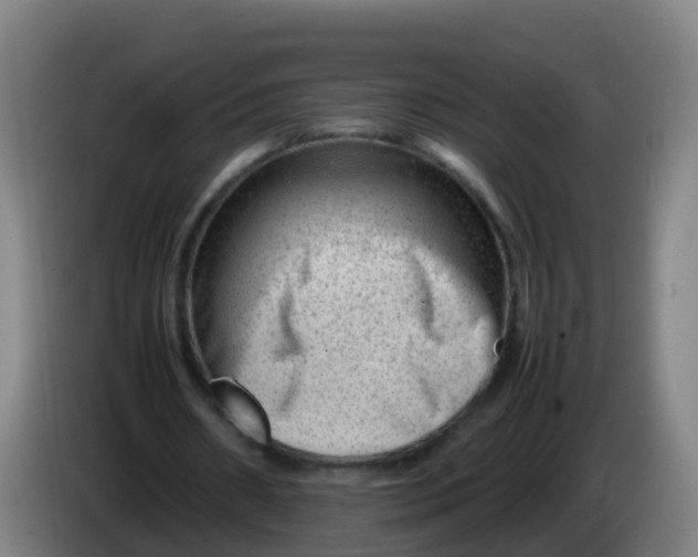 X0000086290482200704201926