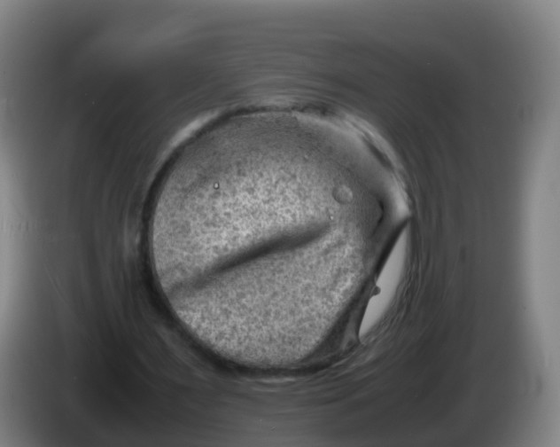 X0000086290483200704201926