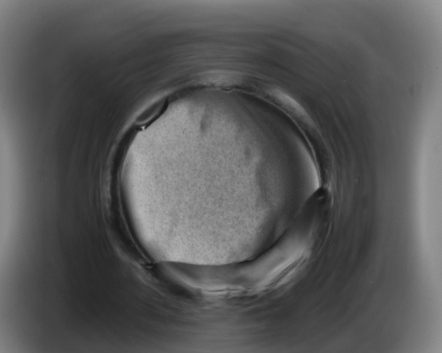 X0000086290484200704201926