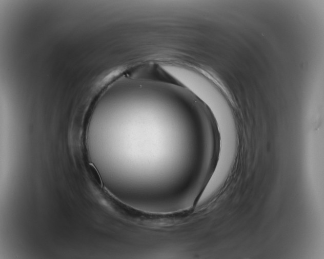 X0000086290485200704201926