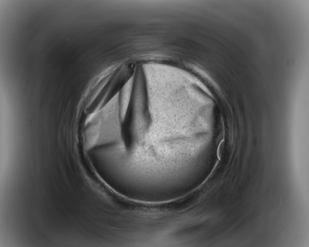 X0000086290486200704201926