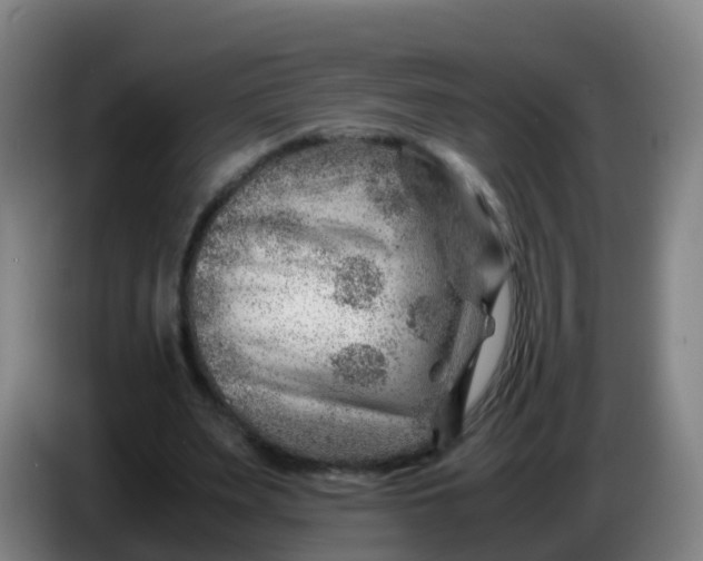X0000086290487200704201926
