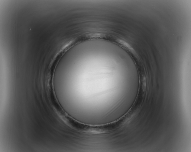 X0000086290490200704201926