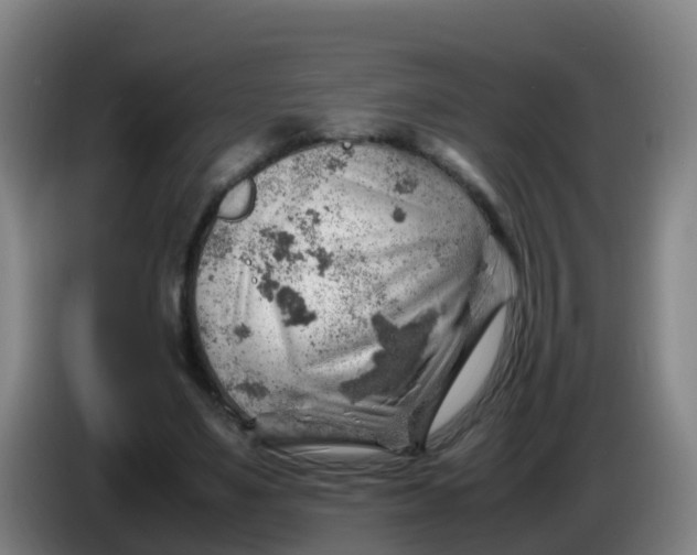 X0000086290491200704201926