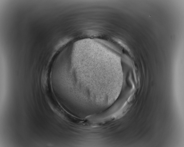 X0000086290492200704201926