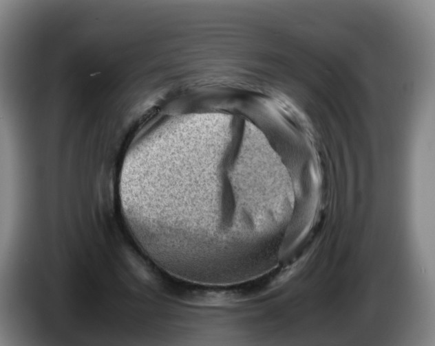 X0000086290493200704201926