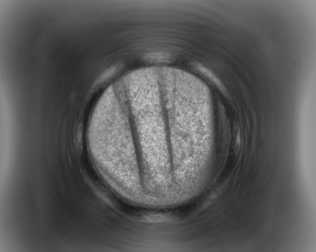 X0000086290494200704201926