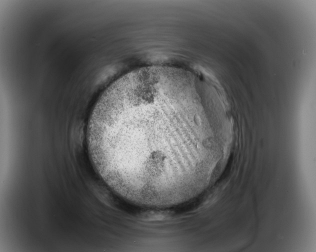 X0000086290495200704201926