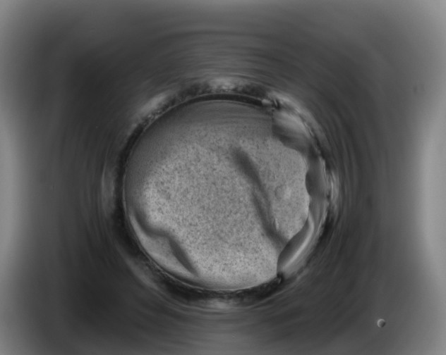 X0000086290496200704201926