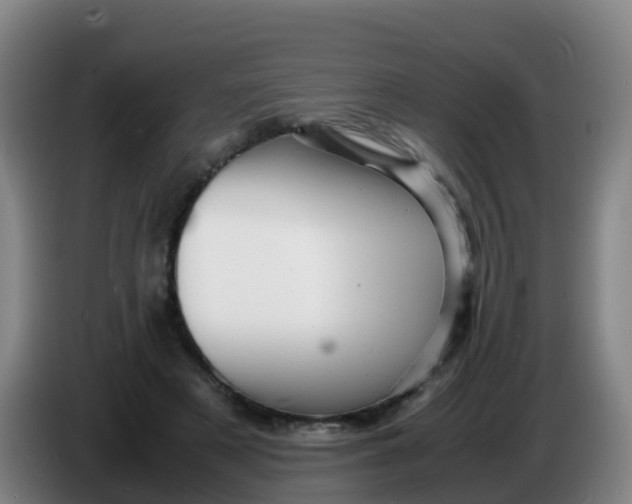 X0000086290497200704201926