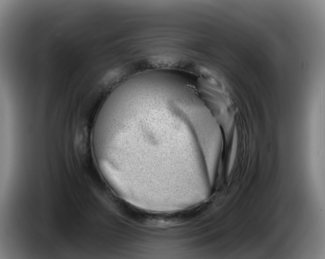 X0000086290498200704201926