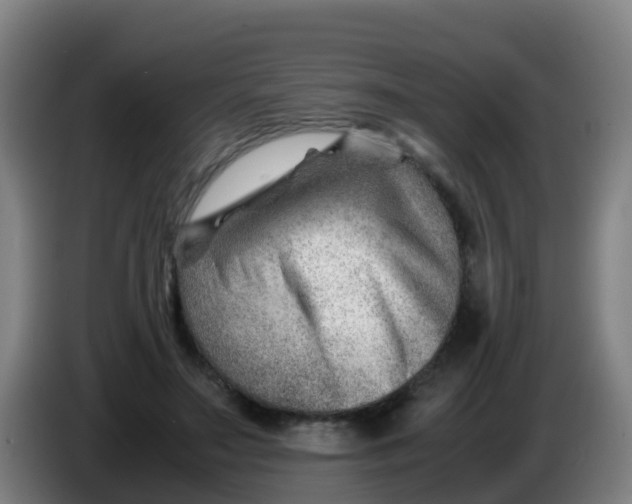 X0000086290499200704201926