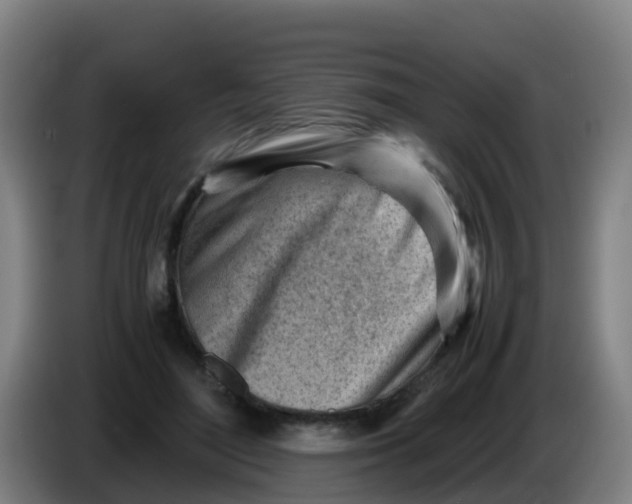 X0000086290500200704201926