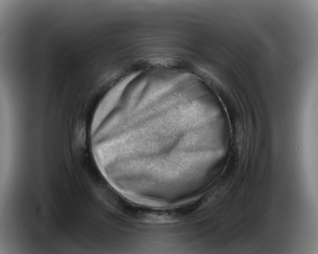 X0000086290502200704201926