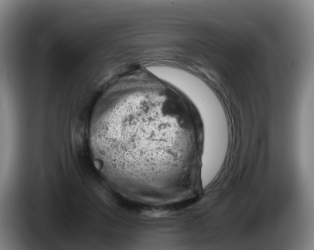 X0000086290503200704201926