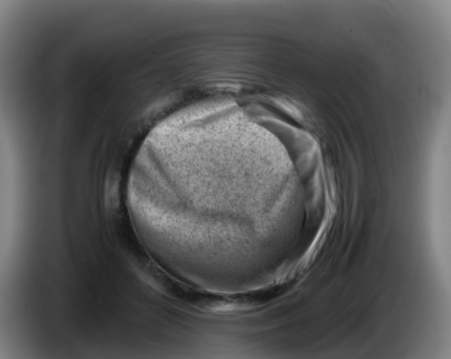 X0000086290504200704201926