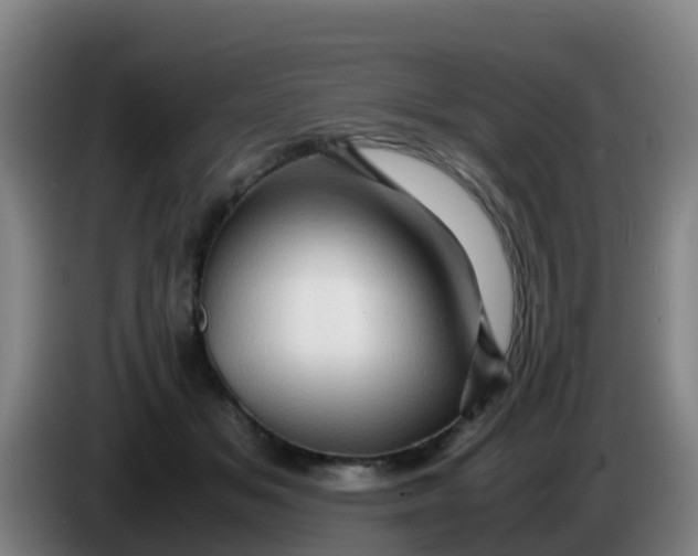 X0000086290509200704201925