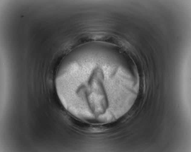X0000086290510200704201925