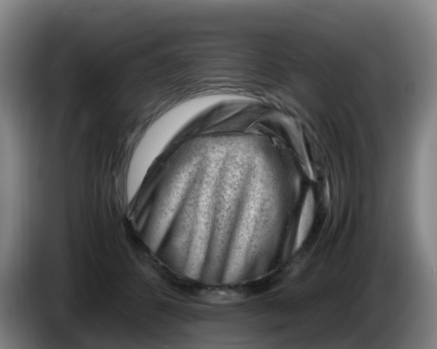 X0000086290512200704201925