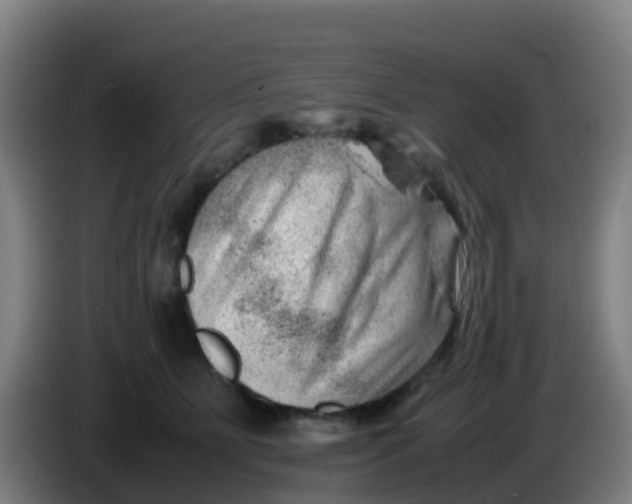 X0000086290515200704201925