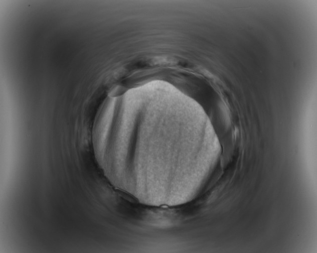X0000086290517200704201925