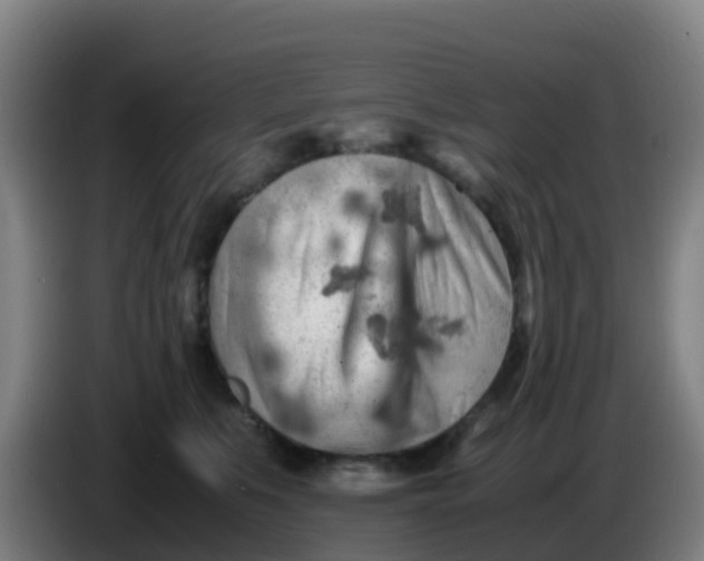 X0000086290519200704201925