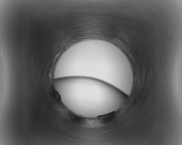X0000086290520200704201925