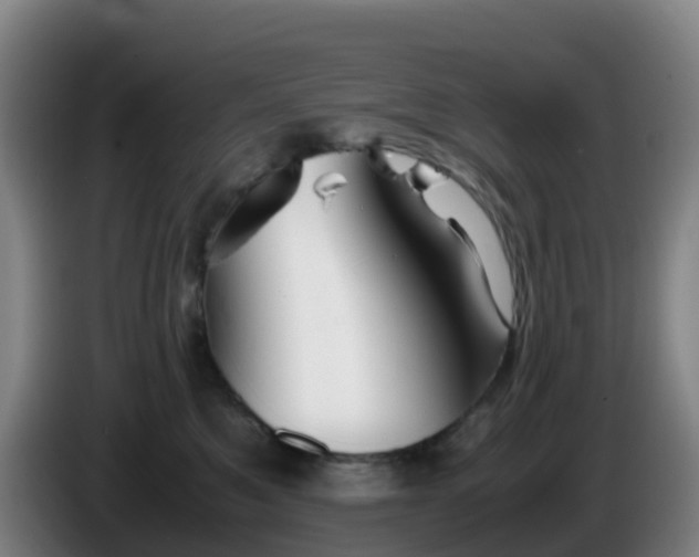 X0000086290521200704201925