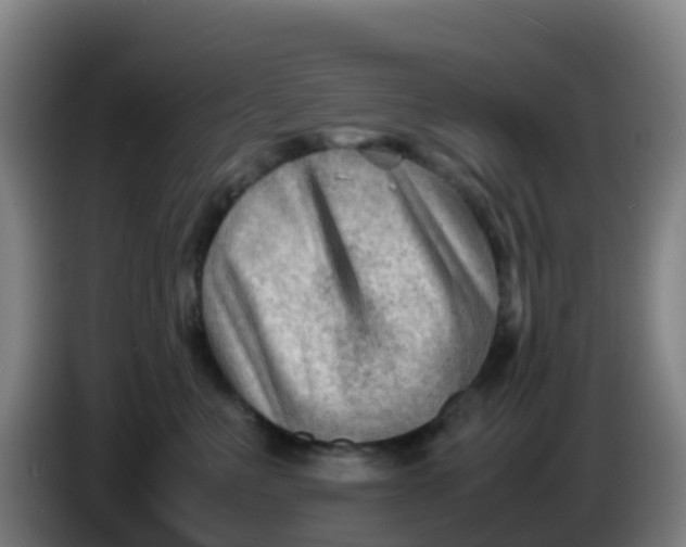 X0000086290523200704201925