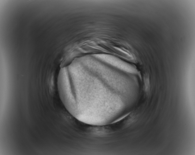 X0000086290524200704201925