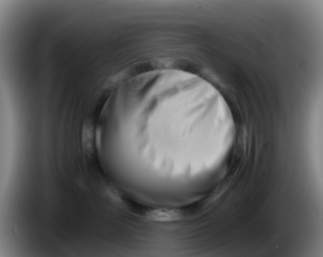 X0000086290526200704201925