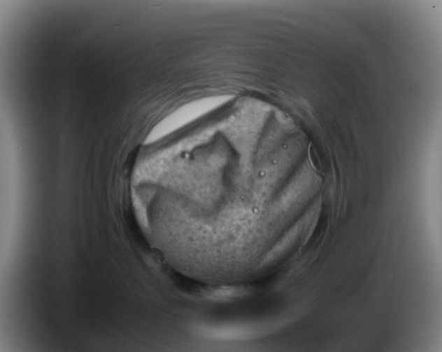 X0000086290527200704201925