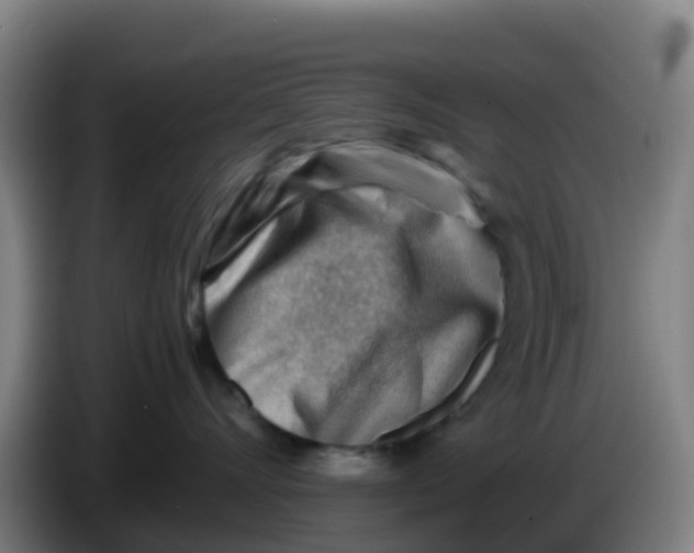 X0000086290528200704201925