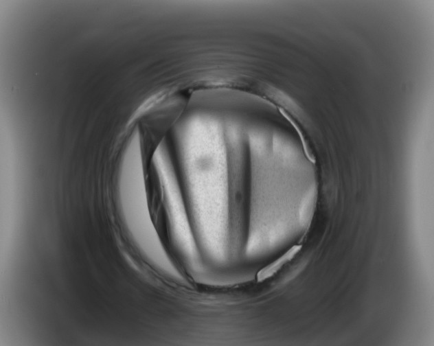 X0000086290530200704201925