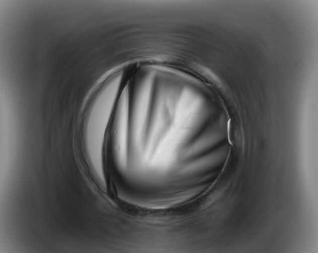X0000086290532200704201925