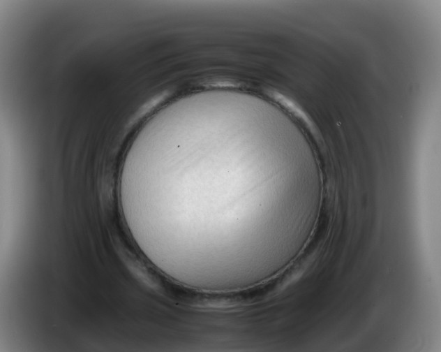 X0000086290533200704201925